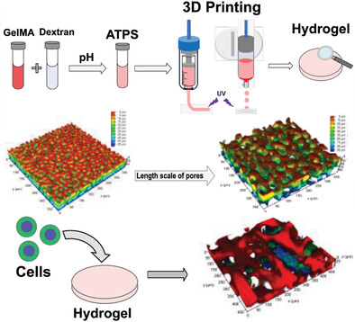 3D Printable Gelatin Methacryloyl (GelMA)-Dextran Aqueous Two-Phase System with Tunable Pores Structure and Size Enables Physiological Behavior of Embedded Cells In Vitro