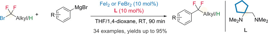 Bulky Diamine Ligand Promotes Cross-Coupling of Difluoroalkyl Bromides by Iron Catalysis