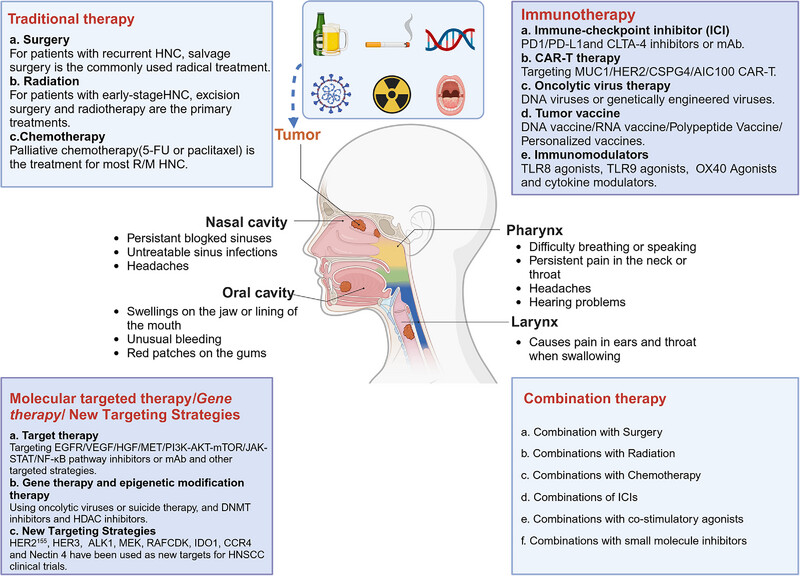 Head and neck cancer: pathogenesis and targeted therapy