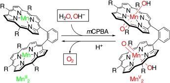 Characterization of a Dinuclear MnVO Complex and Its Efficient Evolution of O2 in the Presence of Water