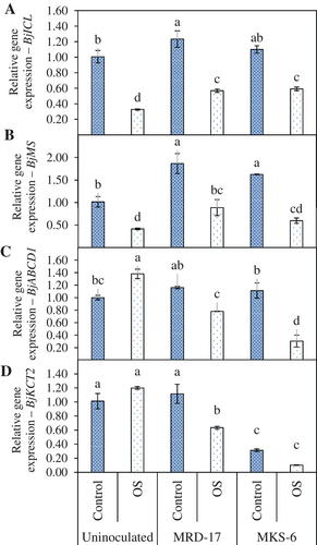 Details are in the caption following the image Details are in the caption following the image