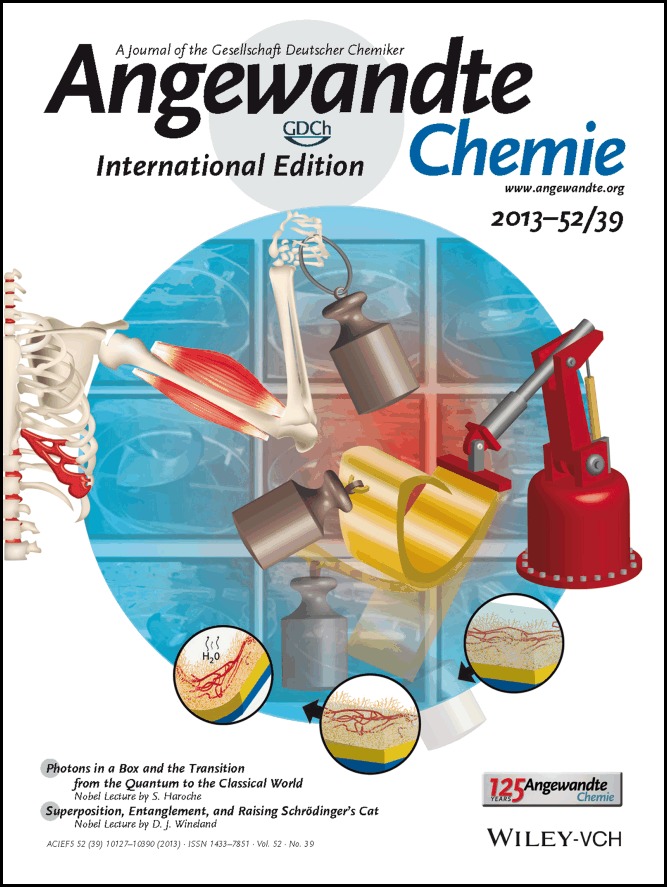 Cover Picture: Polymer-Based Muscle Expansion and Contraction (Angew. Chem. Int. Ed. 39/2013)