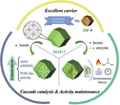 Encapsulation of Enzymes into Hydrophilic and Biocompatible Metal Azolate Framework: Improved Functions of Biocatalyst in Cascade Reactions and its Sensing Applications