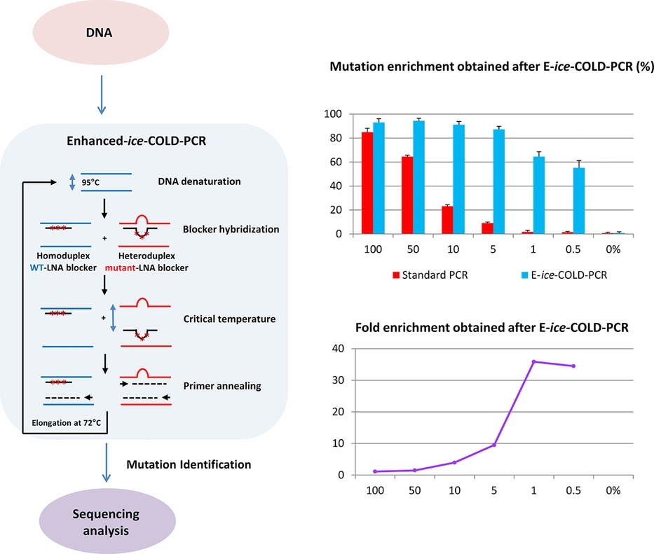 Sensitive Detection of KRAS Mutations Using Enhanced-ice-COLD-PCR Mutation Enrichment and Direct Sequence Identification