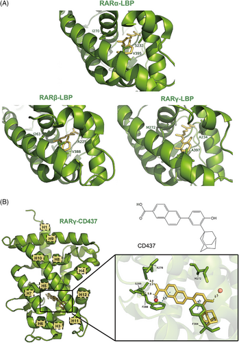 Details are in the caption following the image