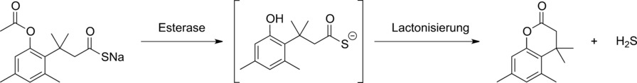 Esterase-Sensitive Prodrugs with Tunable Release Rates and Direct Generation of Hydrogen Sulfide