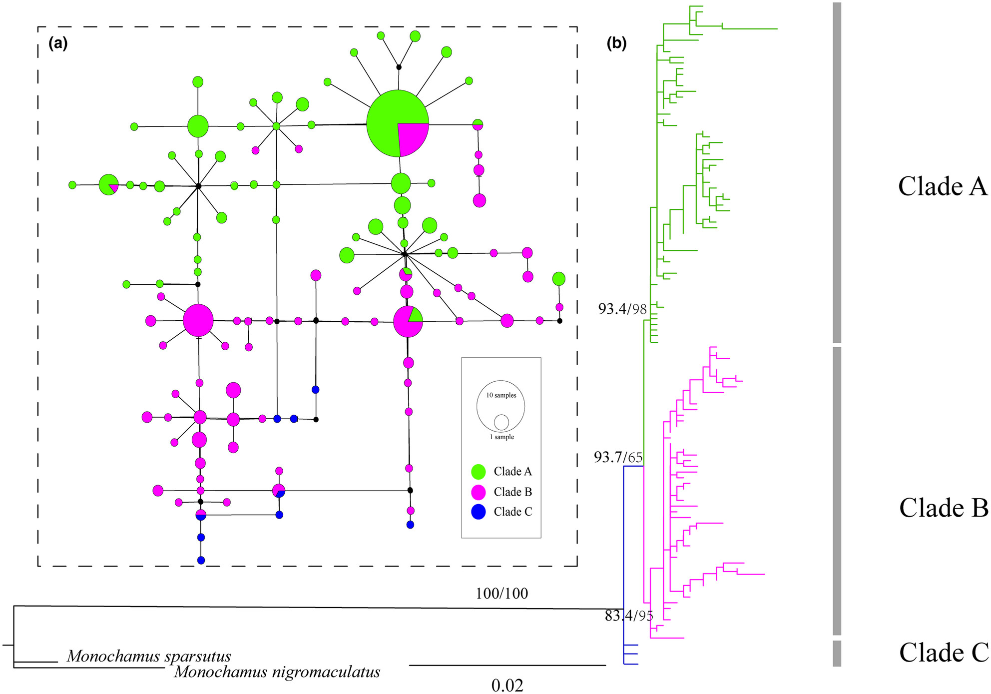 Genetic Structure of Monochamus alternatus (Hope) in Qinling-Daba Mountains and Expansion Trend: Implications for Pest Prevention and Management