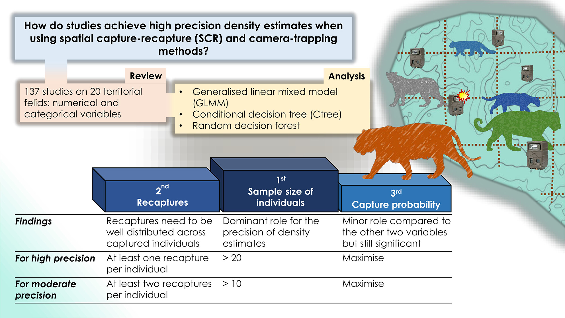 Sampling variables and their thresholds for the precise estimation of wild felid population density with camera traps and spatial capture–recapture methods