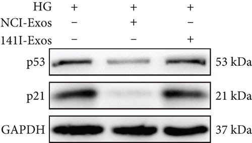Details are in the caption following the image