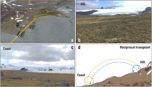 Details are in the caption following the image Details are in the caption following the image