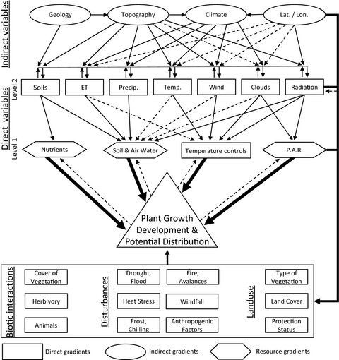 What we use is not what we know: environmental predictors in plant distribution models