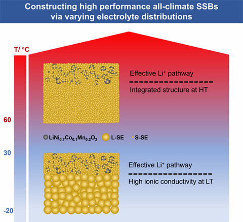 Tuning Solid Interfaces via Varying Electrolyte Distributions Enables High-Performance Solid-State Batteries
