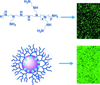 High DNA-Binding Affinity and Gene-Transfection Efficacy of Bioreducible Cationic Nanomicelles with a Fluorinated Core