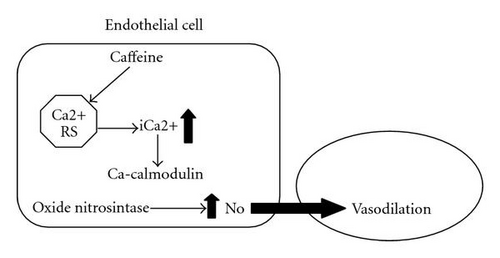 Details are in the caption following the image