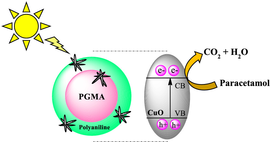 Assembly of CuO nanorods onto poly(glycidylmethacrylate)@polyaniline core–shell microspheres: Photocatalytic degradation of paracetamol