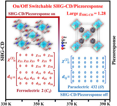 Mathematical Double-Matrix Switchable Homochiral Ferroelectric