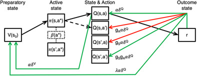 Reinforcement learning with associative or discriminative generalization across states and actions: fMRI at 3 T and 7 T