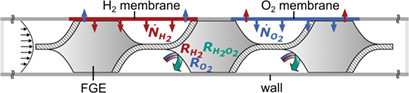 Simulation of Fluid Flow During Direct Synthesis of H2O2 in a Microstructured Membrane Reactor
