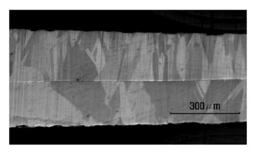 Details are in the caption following the image