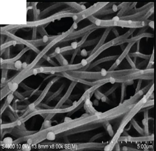 Details are in the caption following the image