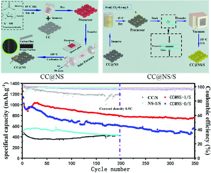 One-Step Synthesis of N/S Codoped “Porous Carbon Cloth” as a Sulfur Carrier for Lithium–Sulfur Batteries