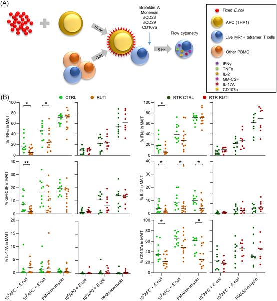 Circulating mucosal-associated invariant T cells in subjects with recurrent urinary tract infections are functionally impaired