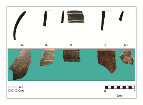 Details are in the caption following the image Details are in the caption following the image