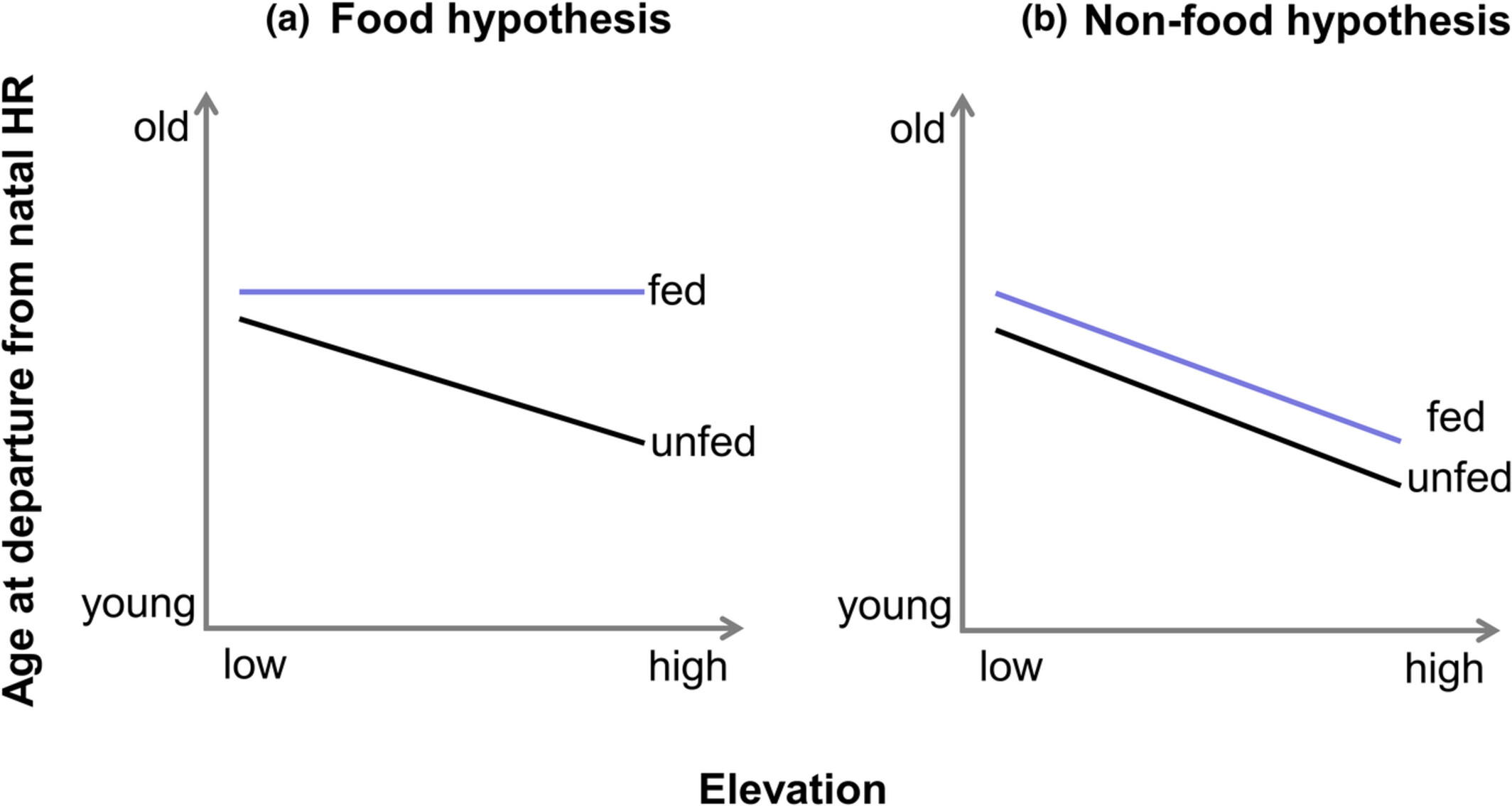 Determinants of departure to natal dispersal across an elevational gradient in a long-lived raptor species