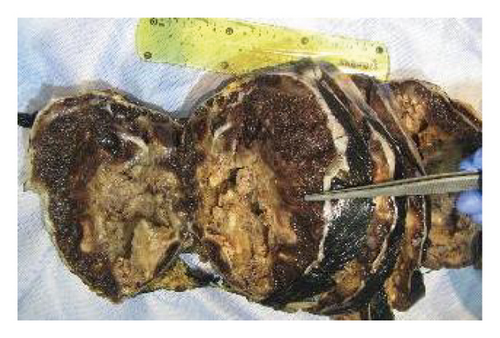 Details are in the caption following the image Details are in the caption following the image