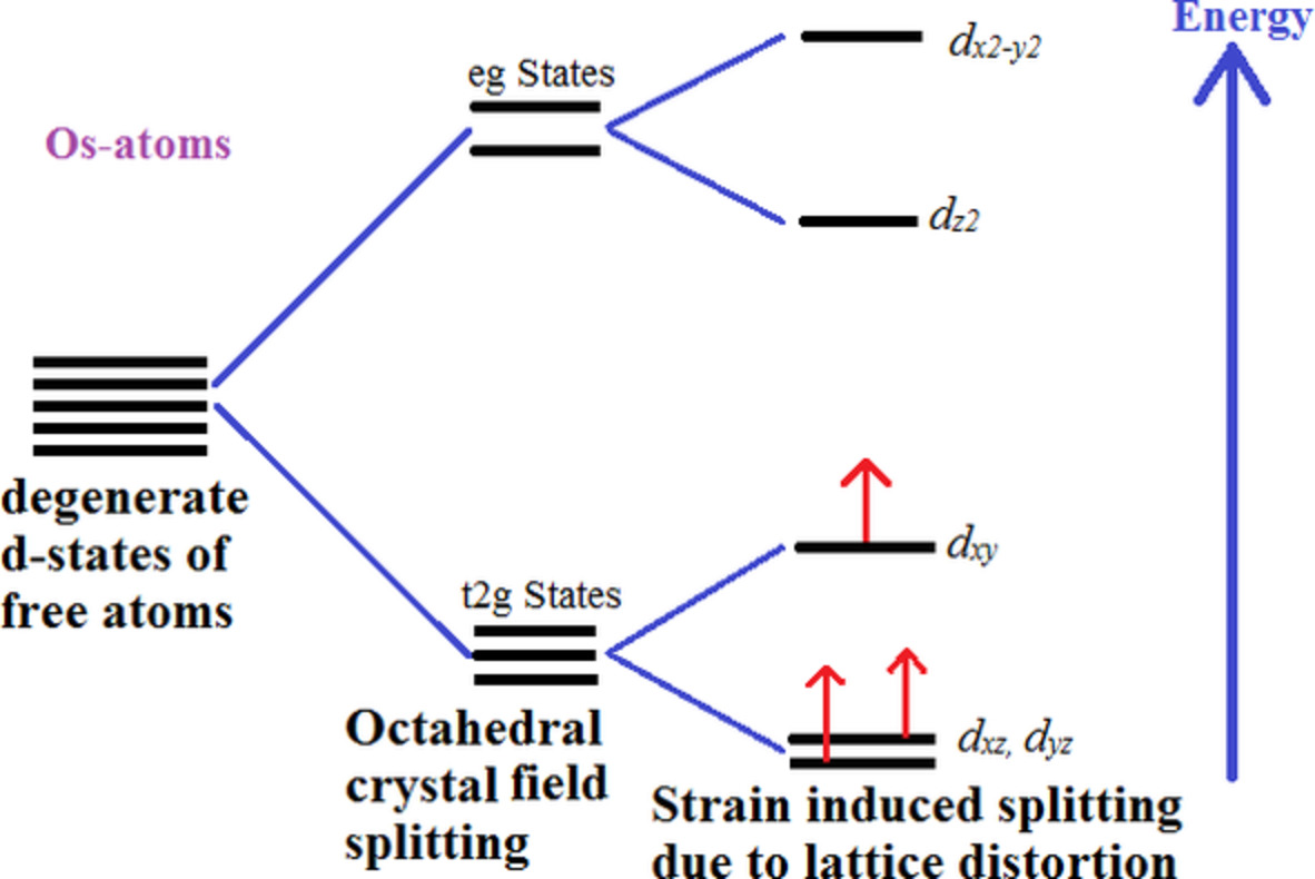 Ab initio study for the structural, electronic, magnetic, optical, and thermoelectric properties of K2OsX6 (X = Cl, Br) compounds