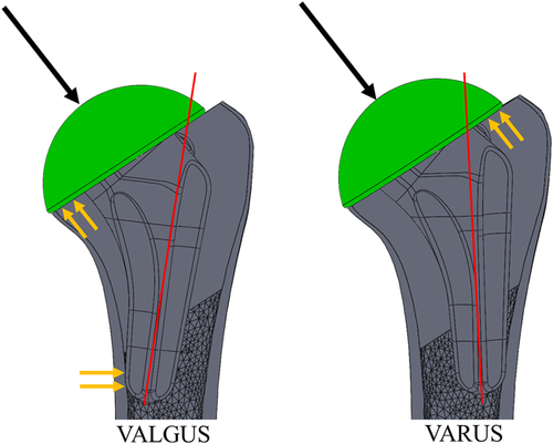 Details are in the caption following the image Details are in the caption following the image