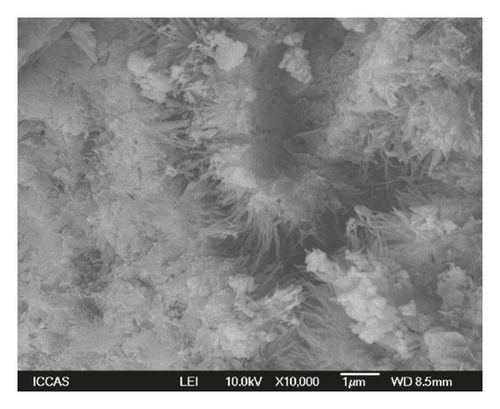 Details are in the caption following the image