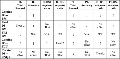 The infralimbic and prelimbic cortices contribute to the inhibitory control of cocaine-seeking behavior during a discriminative stimulus task in rats
