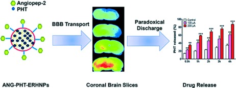 Angiopep-Conjugated Electro-Responsive Hydrogel Nanoparticles: Therapeutic Potential for Epilepsy