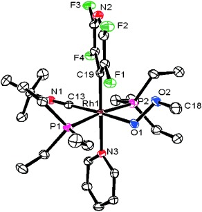 Rhodiumvermittelte Bildung von Peroxiden aus Disauerstoff: Isolierung von Hydroperoxo-, Silylperoxo- und Methylperoxo-Intermediaten