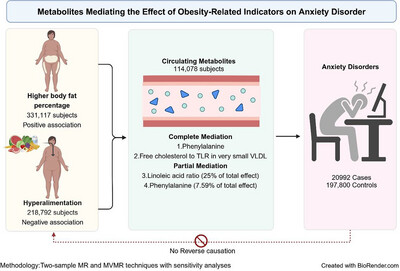 A Causal Inference Study of Circulating Metabolites Mediating the Effect of Obesity-Related Indicators on the Incidence of Anxiety Disorders