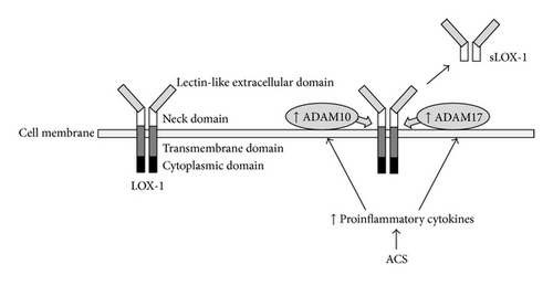 Details are in the caption following the image