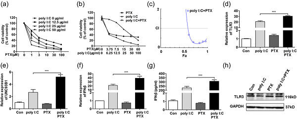 Toll-like receptor 3 agonist poly I:C reinforces the potency of cytotoxic chemotherapy via the TLR3-UNC93B1-IFN-β signaling axis in paclitaxel-resistant colon cancer