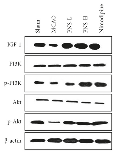 Details are in the caption following the image