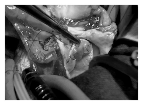Details are in the caption following the image Details are in the caption following the image