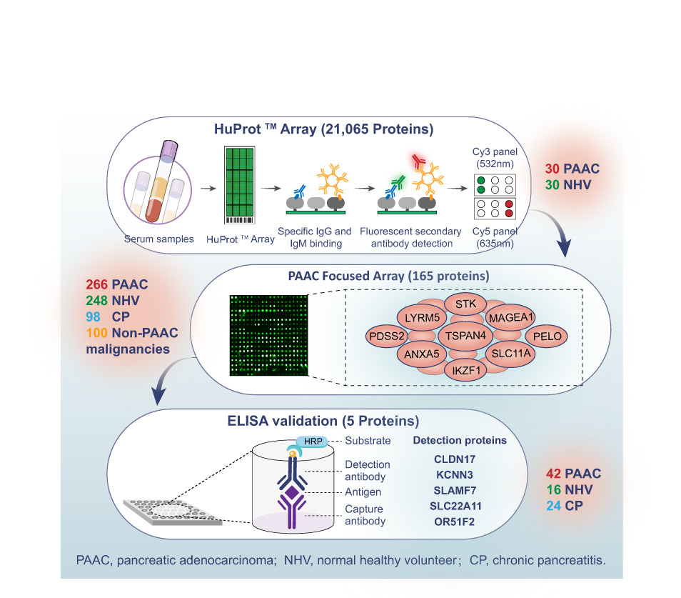 Circulating tumor-associated autoantibodies as novel diagnostic biomarkers in pancreatic adenocarcinoma