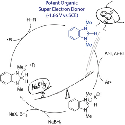 Neutral Organic Super Electron Donors Made Catalytic