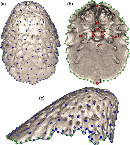 Details are in the caption following the image Details are in the caption following the image