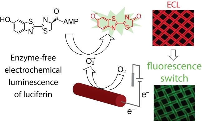 Luciferase-free Luciferin Electrochemiluminescence