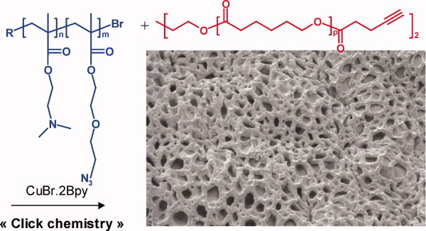 Synthesis of adaptative and amphiphilic polymer model conetworks by versatile combination of ATRP, ROP, and “Click chemistry”