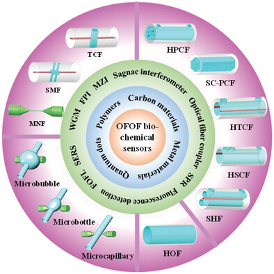 Optical Fiber Optofluidic Bio-Chemical Sensors: A Review
