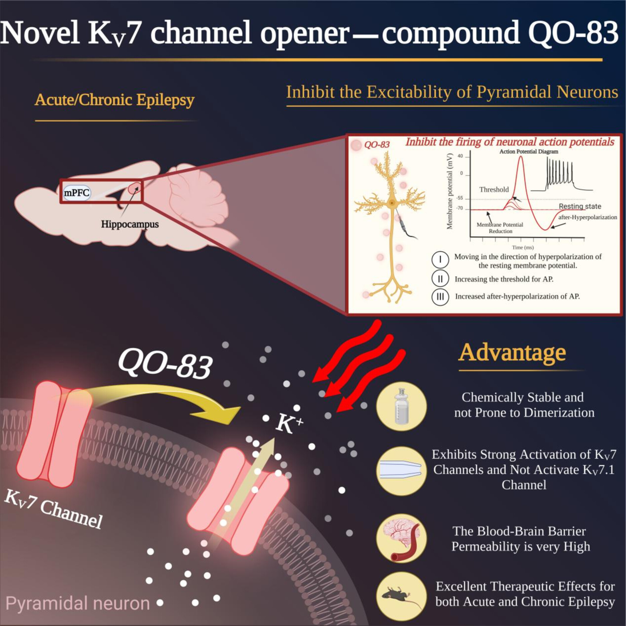 A Novel Compound QO-83 Alleviates Acute and Chronic Epileptic Seizures in Rodents by Modulating KV7 Channel Activity