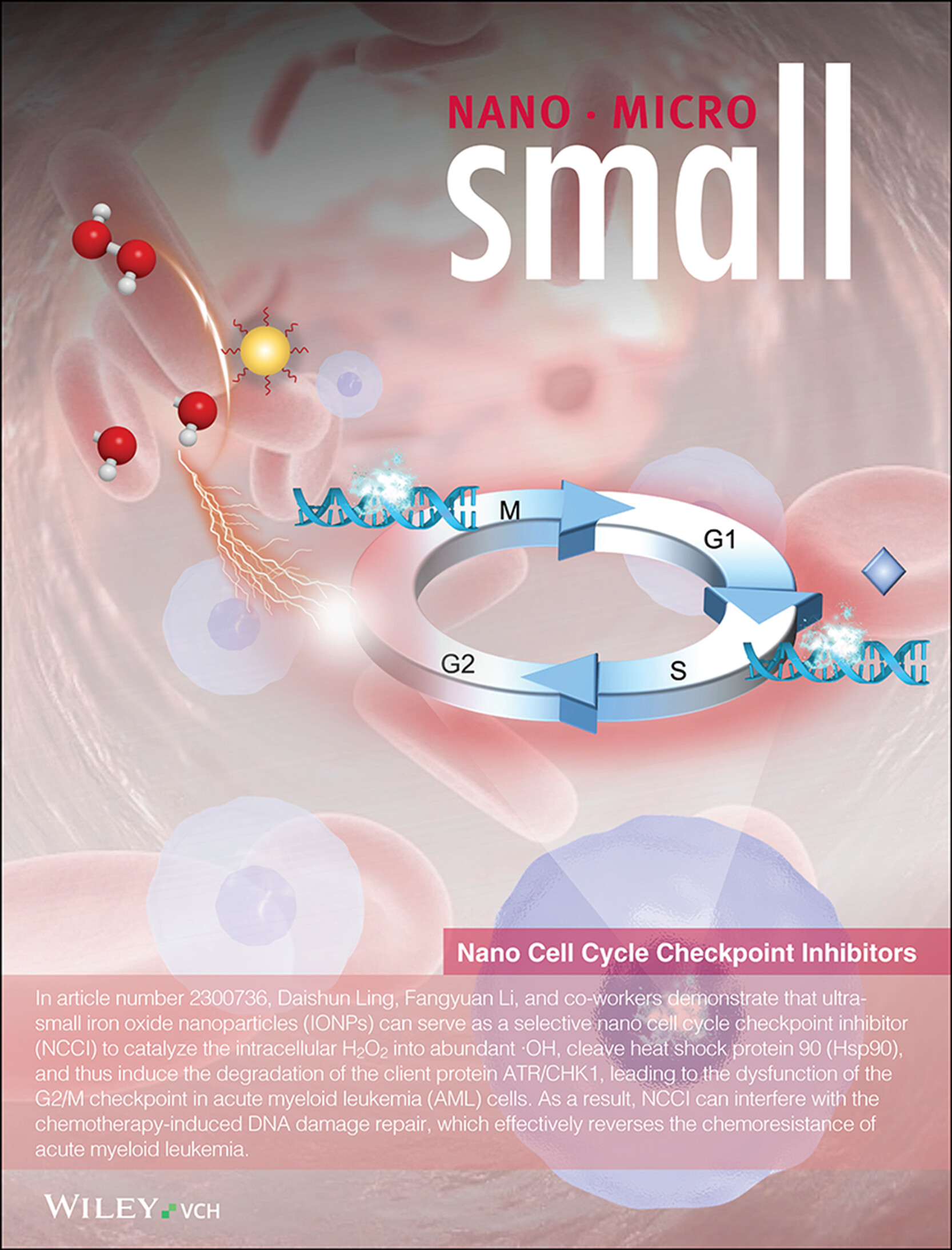 A Selective Nano Cell Cycle Checkpoint Inhibitor Overcomes Leukemia Chemoresistance (Small 25/2023) Volume 19 Issue 25, 2023
