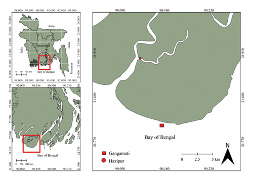 Details are in the caption following the image Details are in the caption following the image
