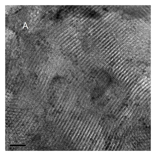 Details are in the caption following the image